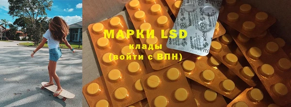 ешки Тайга