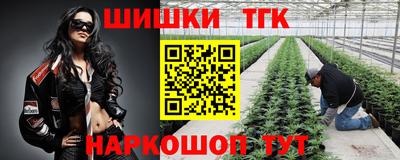 наркотики Сланцы