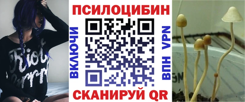 магазин продажи   Радужный  Галлюциногенные грибы прущие грибы 