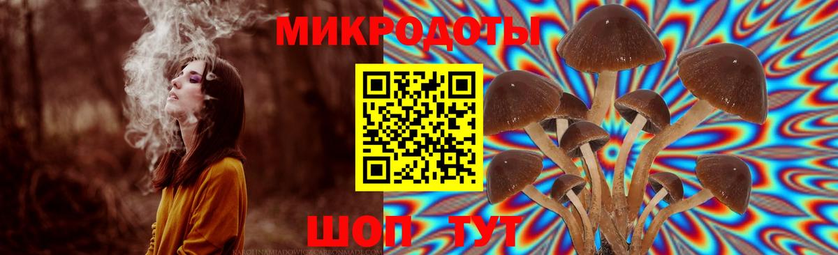 Псилоцибиновые грибы Psilocybine cubensis Радужный